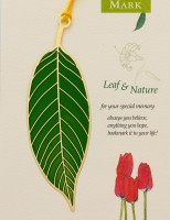 LC-14田園之葉子草綠