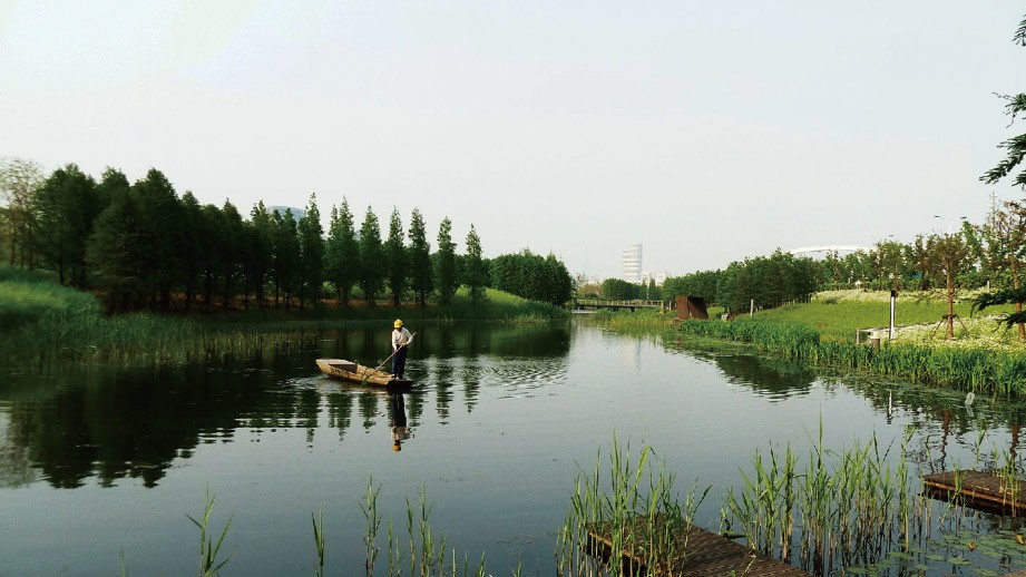 廣州被淹，廈門暴雨，萬億級海綿城市能否破解“城市看?！眴栴}？