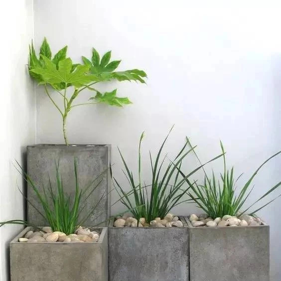 這里的水泥磚創(chuàng)意，別的地方找不到