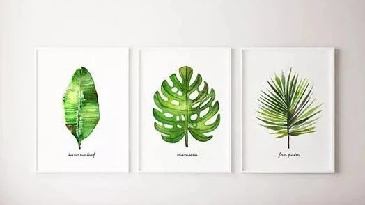 畫里都是我愛(ài)的綠植！