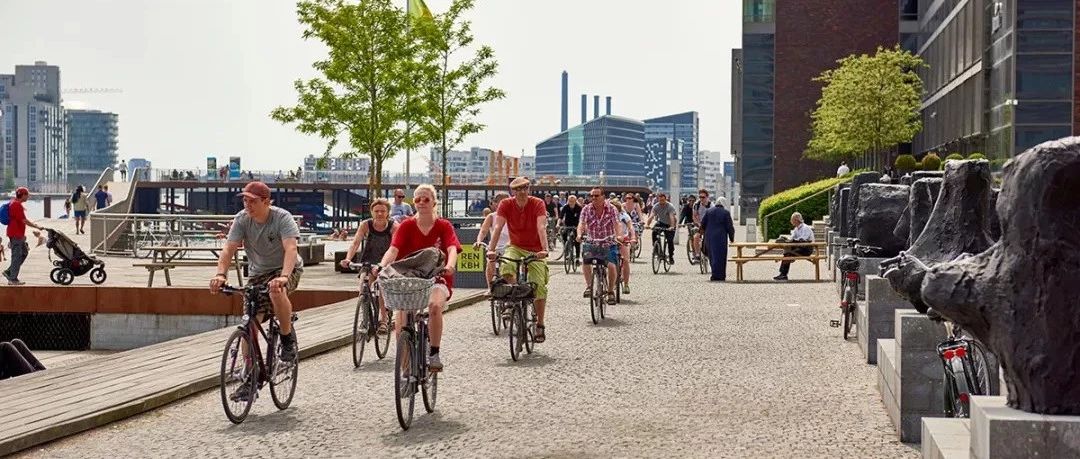 ofo涼了，但只有自行車和公共交通，才能救城市