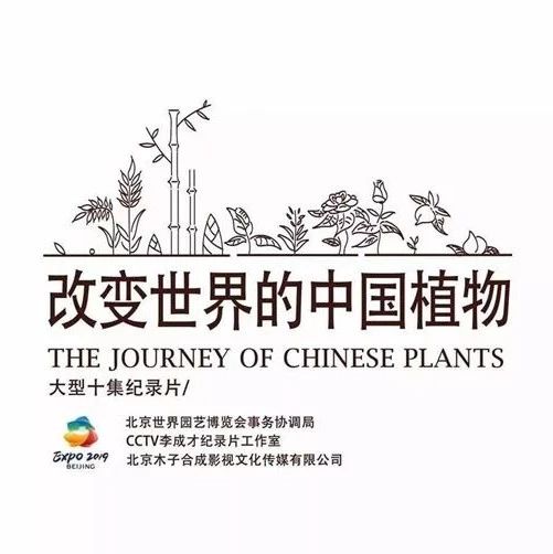 紀(jì)錄片《改變世界的中國植物》殺青，帶你感知人類文明長河中植物的力量