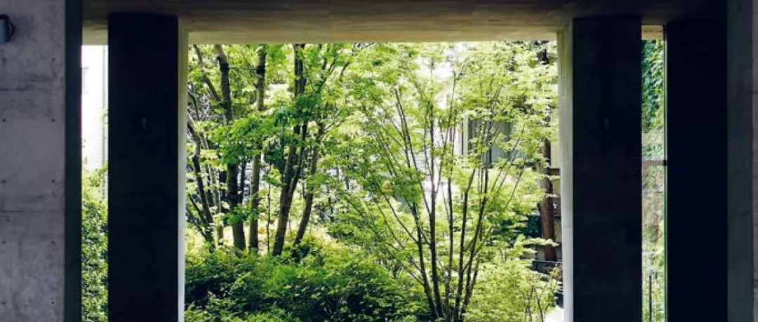 隈研吾近期的5個新作：21世紀(jì)不再相信摩天大樓