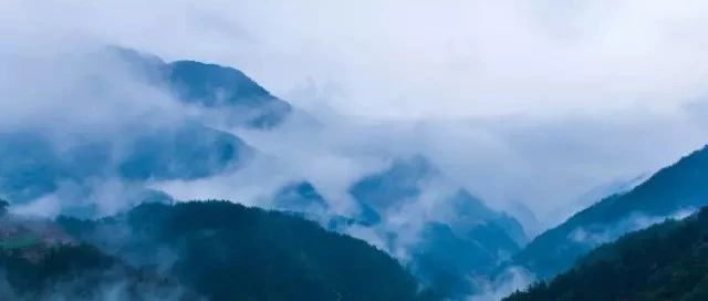 她游遍大江南北，成為令人羨慕的民宿體驗師，把民宿的故事寫成詩