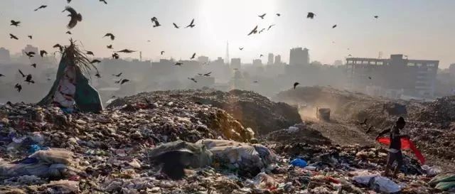 解決500年不腐不爛的塑料垃圾，這些可持續(xù)設(shè)計(jì)超乎你的想象