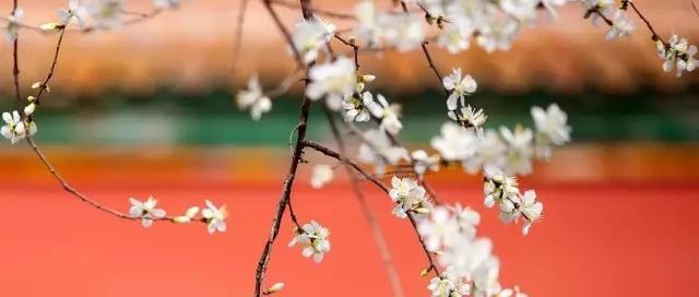 天青、月白、黛藍(lán)、妃紅……好聽好看的中國色彩與色值，你值得get