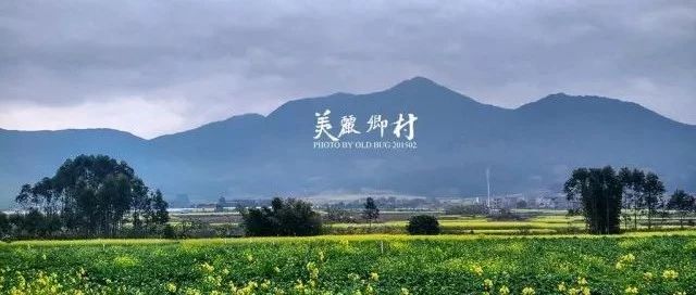 3億人出走后的中國農(nóng)村，將何去何從？