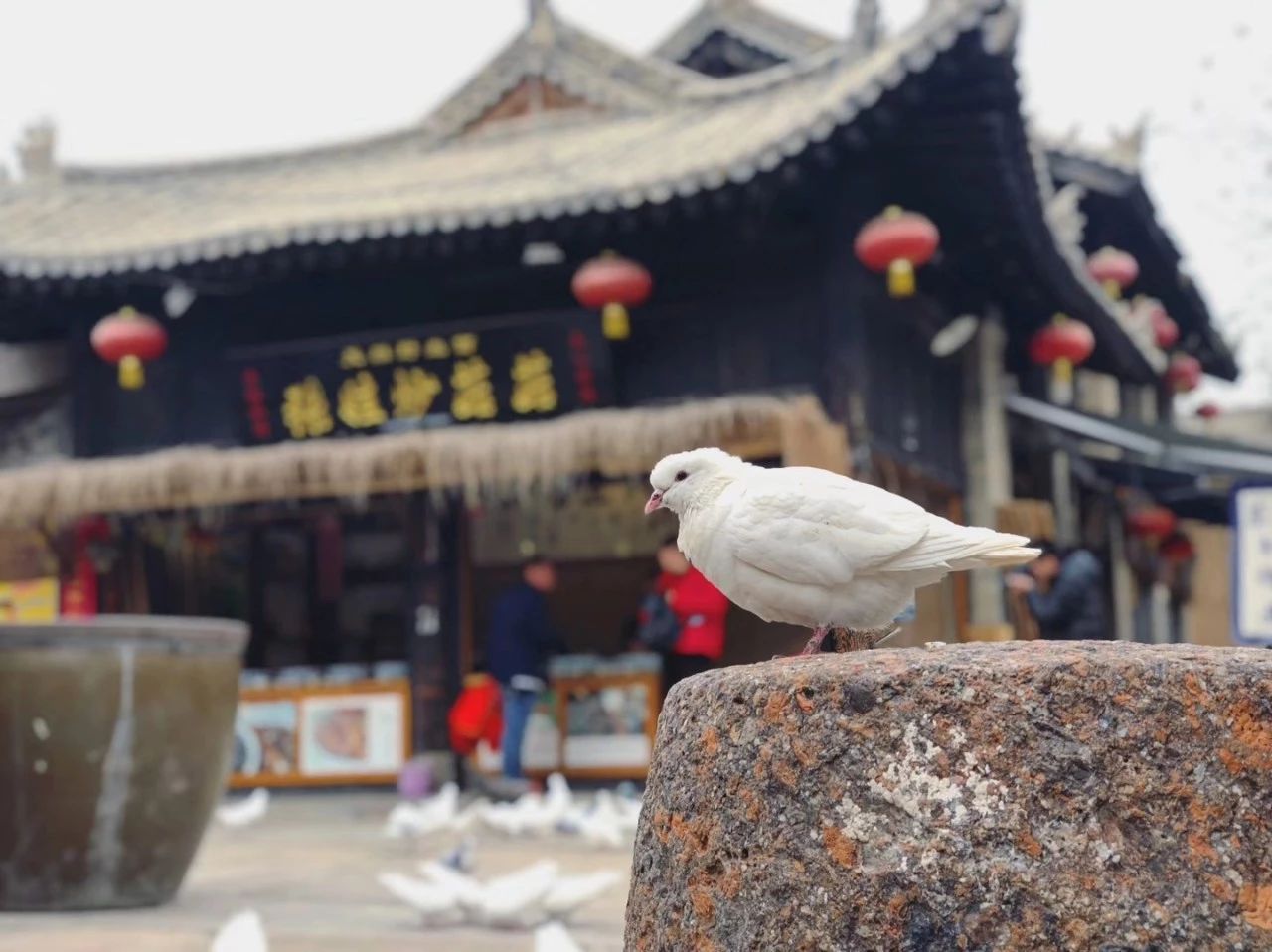 袁家村能火多久？