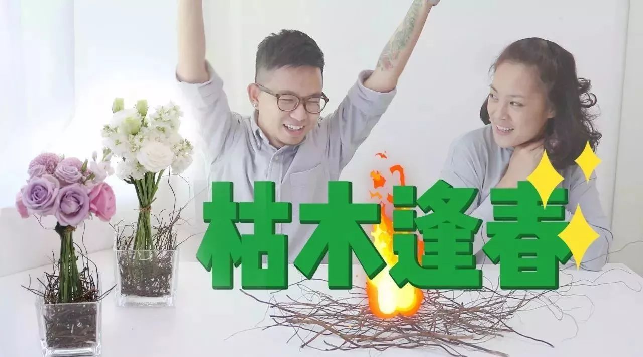 這些年被我養(yǎng)死的植物，終于有了枯木逢春的機(jī)會(huì)